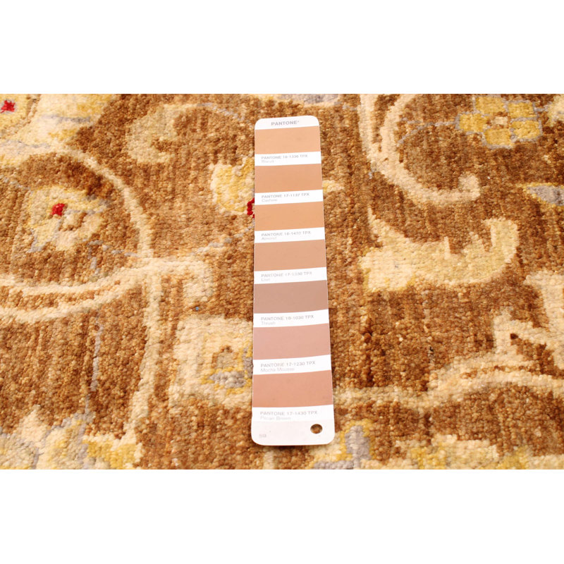 Tapis rectangulaire unique en laine noué à la main 8 pi 1 po x 10 pi 1 po nouvel âge Vanesa en brun / kaki / crème
