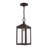 Inniss Outdoor Hanging Lantern-76551853