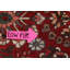Tapis décoratif en laine rouge à motif de 6 pi 5 po x 10 pi 5 po one-of-a-kind noué à la main bakhtiari