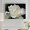 «Lovely Gardenia» par Kurt Shaffer - reproduction de photo