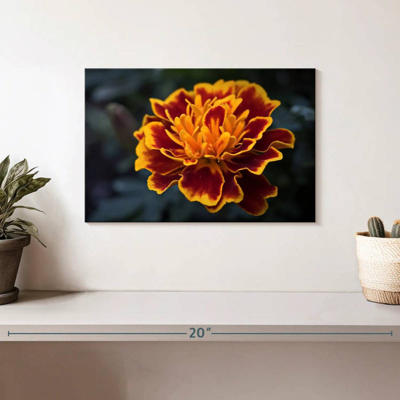 Harnek Red Marigold Flower, 8" H x 12" W