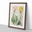 Groundsel Daisy Flowers by Sarah Featon - Picture Frame Painting Print-55609134-55609137
