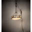 Lone Bear 6 - Light Pendant