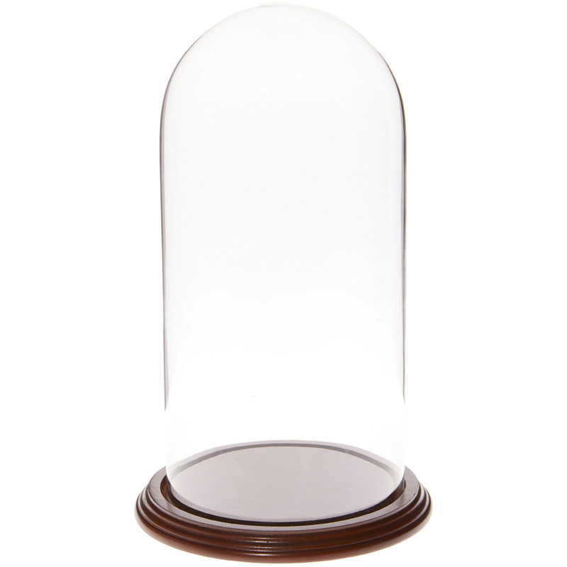 Cloche en verre Vucciria, 11" H x 5.5" W × 5.5" D, Base en placage de noyer
