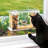 Window Tray Bird Feeder