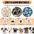 Pet Blanket