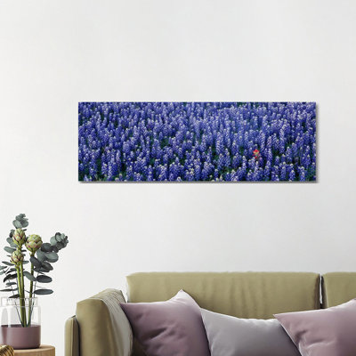 Bluebonnet Flowers In A Field, Hill County, Texas, USA - Wrapped Canvas Panoramic Print