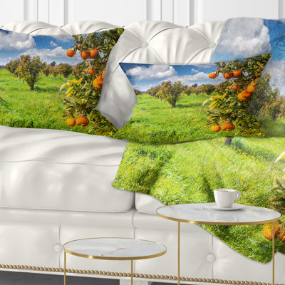 Coussin Schafer