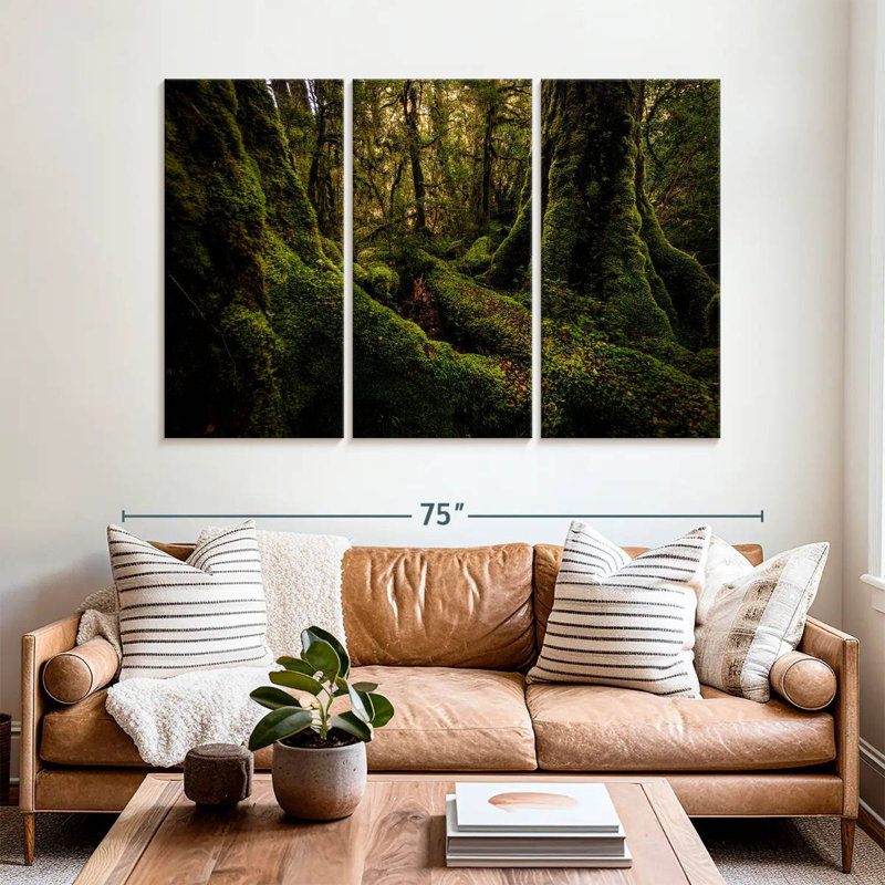 Milford Sound Rainforest