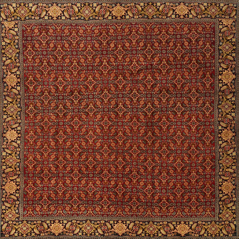 Oriental Indoor Rug, Square 8'