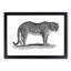 Leopard in Black & White by George Shaw - Framed Print-55617528-55617531