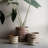 Ceramic Pot Planter-1468466868-1452100186
