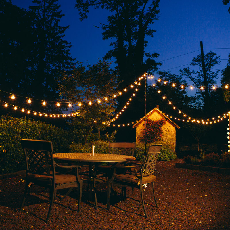 Outdoor Plug-in Globe String Light, 25 ft., Black
