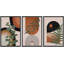 «Mid Century Modern Boho», Southwestern Desert Jungle-73721018-73721020