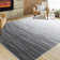 Zyiah Washable Ombre Indoor Rug