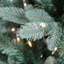 Sapin de Noël artificiel mince 14 pi pré-éclairé Washington Frasier - lumières claires-101878504