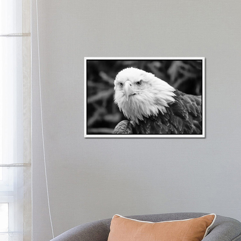 Eager Eagle by David Gardiner - Print on Canvas, 66.04 cm H x 45.72 cm W, White Framed