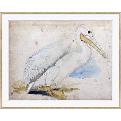 Sea Birds 1 Giclee Print