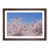 Walnut Framed selected