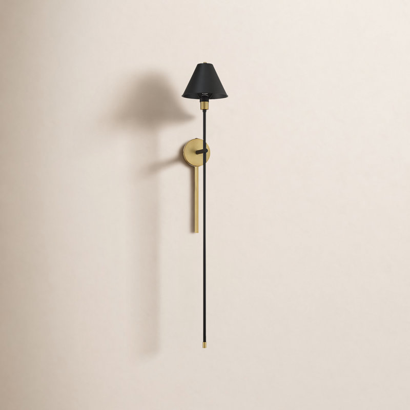 Ronsie 1-Light Dimmable Steel Armed Sconce
