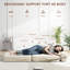 1 Seater Chenille Sofa Bed