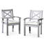 Chaises de salle à manger d'extérieur en bois massif (de 2) - Gris argenté pour 2 personnes avec - et caractéristiques