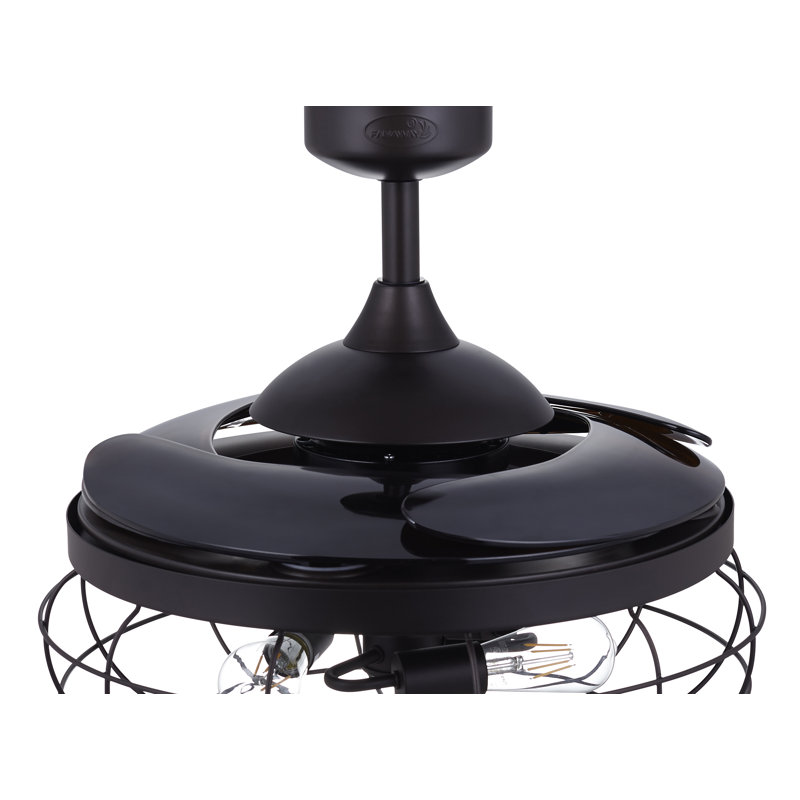 Trenta 48'' Ceiling Fan with LED Lights