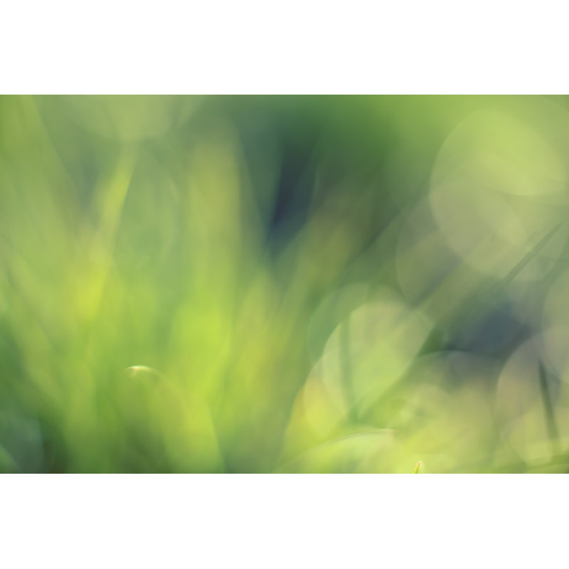 Beautiful Green Background - Wrapped Canvas Print, 30cm H x 46cm W