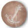 Alay Chenille Indoor Rug
