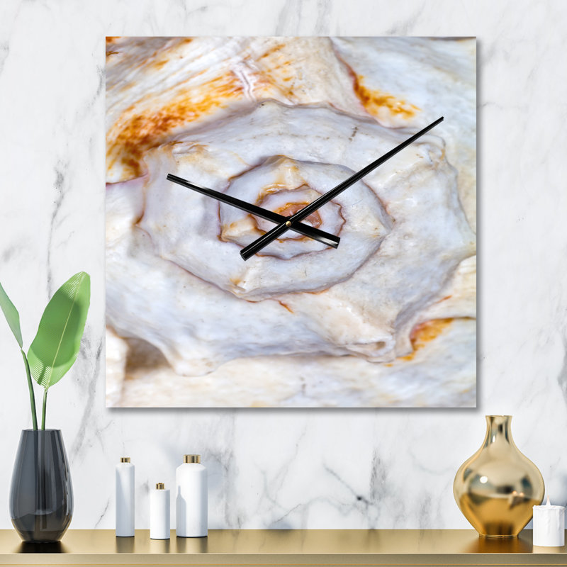 Grand squelette de coquillage - horloge murale moderne, Très grand