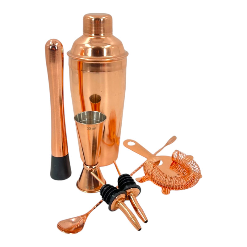 Stainless Steel Shaker