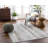 Abstract Machine Woven Polyester Area Rug in Light Gray-1315789207