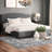 Krick Upholstered Platform Storage Bed-623100132-623100134