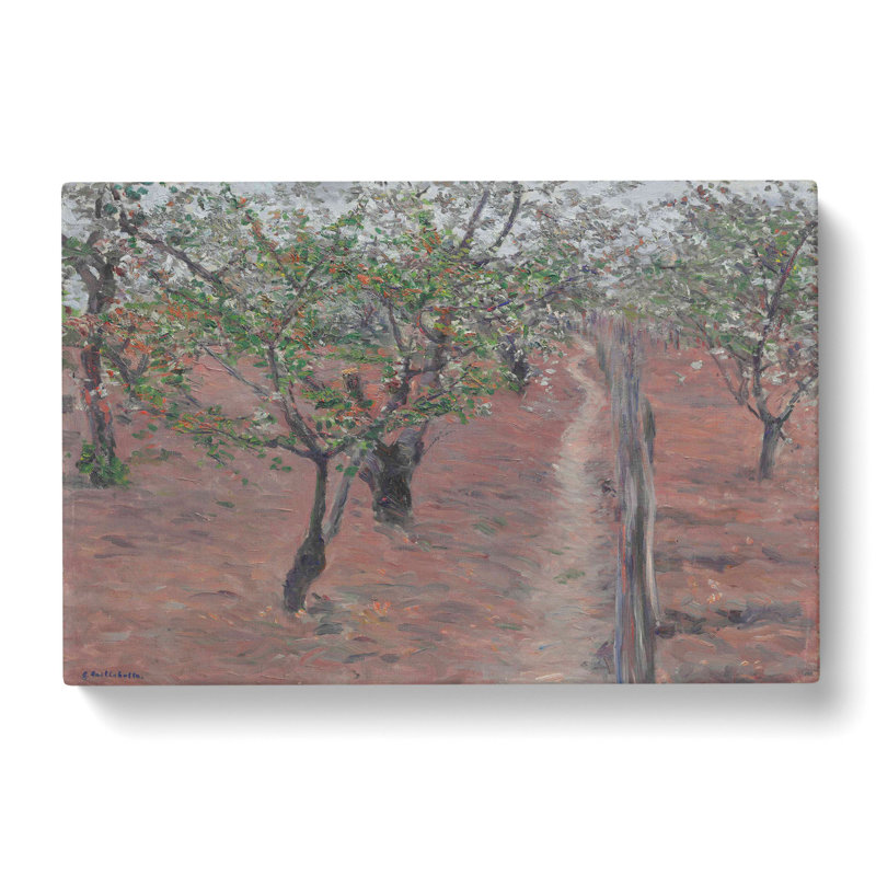 Orchard In Bloom by Gustave Caillebotte - Wrapped Canvas Painting, 50cm H x 76cm W x 3cm D