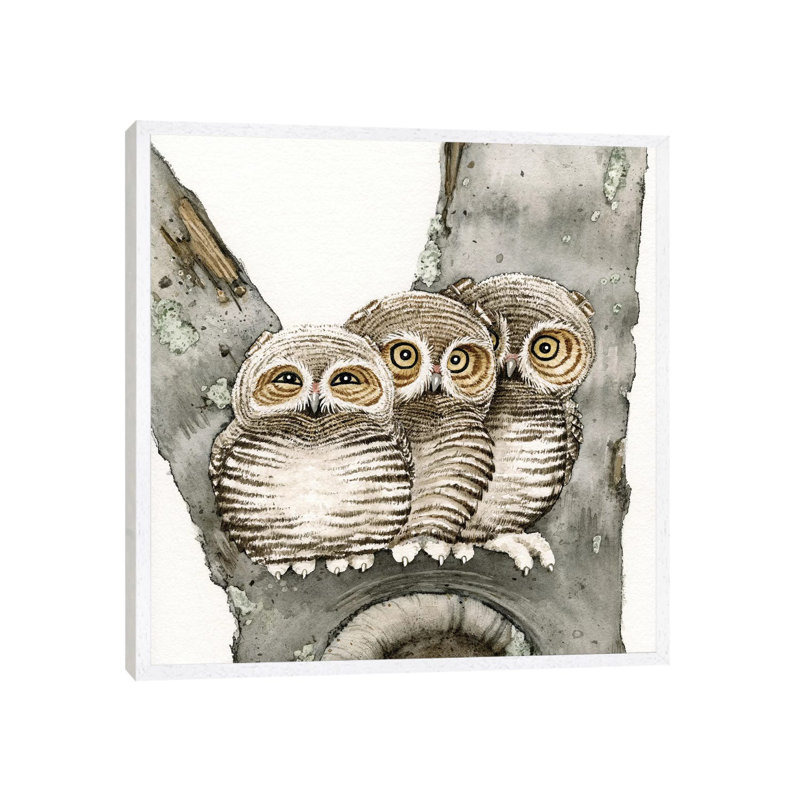 Three Owls by Tracy Lizotte - Painting on Canvas, White Framed, 66.04cm H x 66.04cm W x 3.81cm D