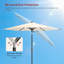 Parasol-1397319055