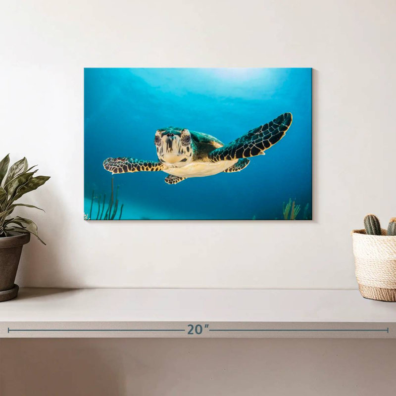 Tortue sous-marine Brampt, H 8 po x l 12 po