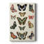 Flutterbys I -Gallery Wraraped Cavas-524413421