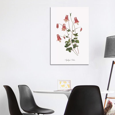 Botanical Columbine by Kelly Donovan - Wrapped Canvas Print