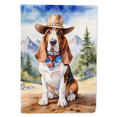 Drapeau Cowboy Welcome House