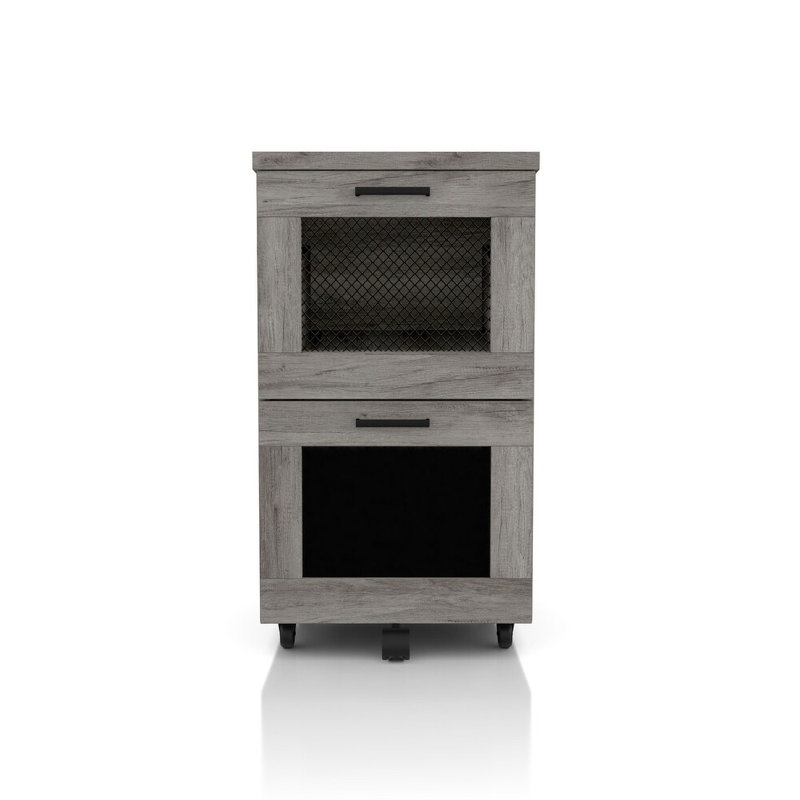 Kelesha Rustic Gray 2-drawer File Cabinet