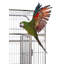 Cage à oiseau 73,75 po Clairemarie