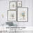 Petite Nature II Framed Print - Solid Wood