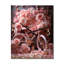 Vélo Rose Reverie - Horloges murales vélo-1636989018