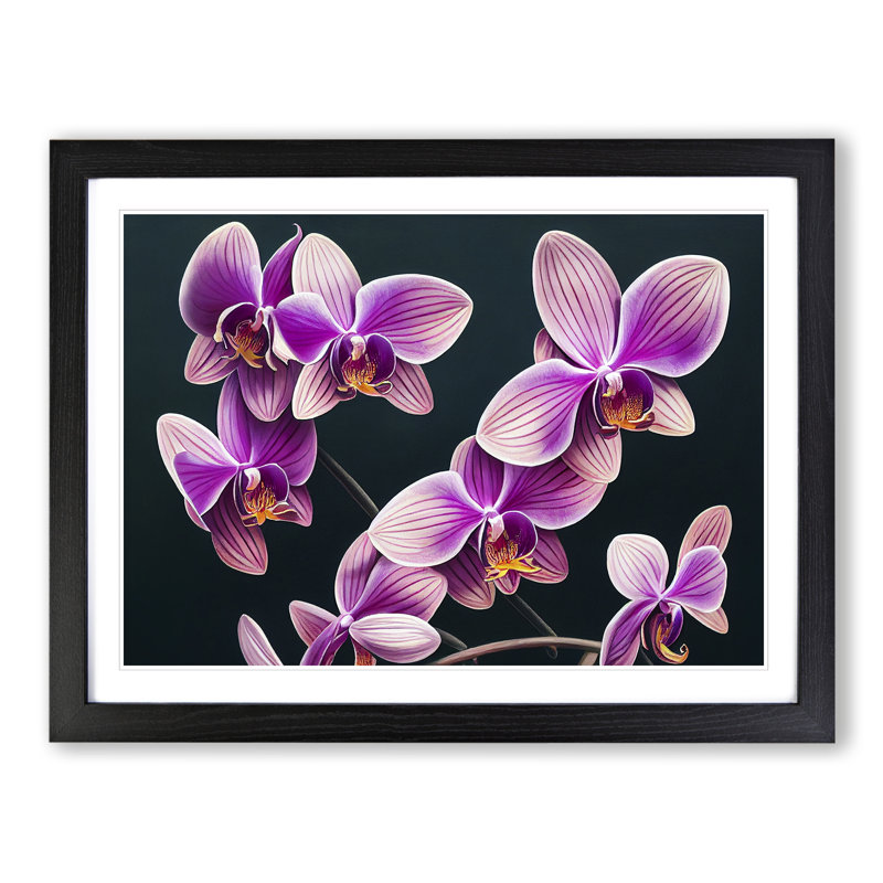 Evolving Orchid Flowers - Framed Print, 34cm H x 46cm W x 2cm D, Black