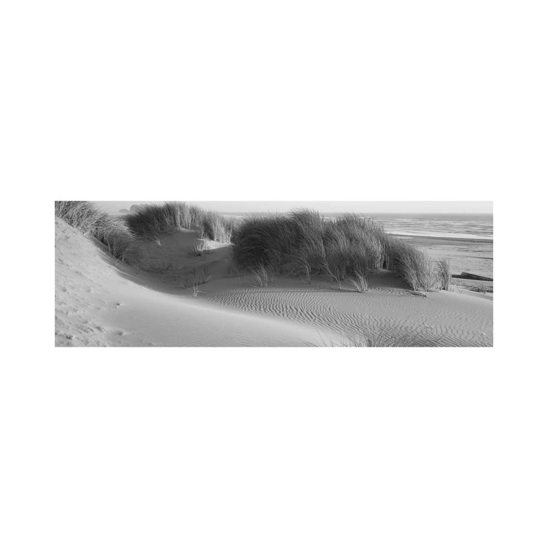 Grass On The Beach, Pacific Ocean, Bandon State Natural Area, Bandon, Oregon, USA by Panoramic Images - Wrapped Canvas Panoramic Print