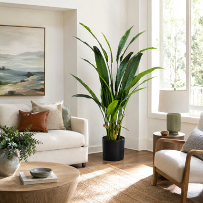 Palmier en soie Bird of Paradise en pot