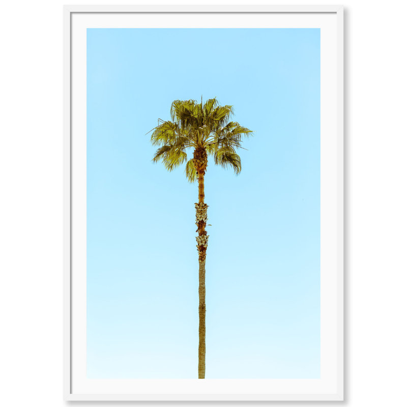Lonely Palm Print by Carly Tabak, 18" W x 25" H, White Wood