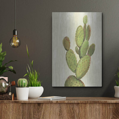 «Front Yard Cactus I» par Silvia Vassileva, art mural en métal, 16 po x 24 po