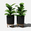 Jardinière Demi Series avec support-97745288-83889253-83889254